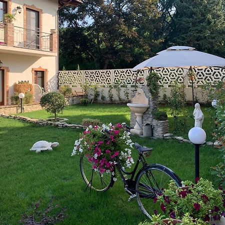 Diano dʼAlba Ca Reginella B&B מראה חיצוני תמונה